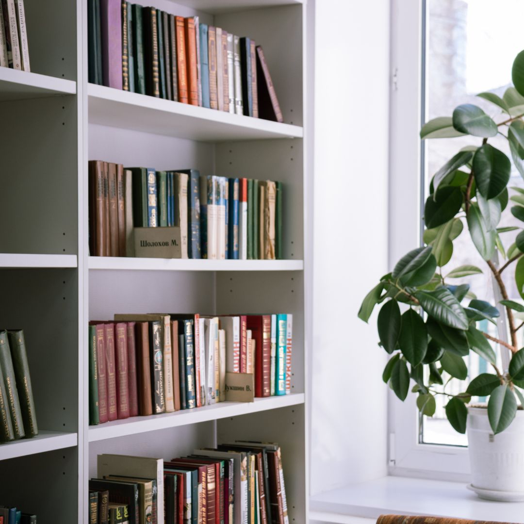 Home, Office, and Book Shelving Boya